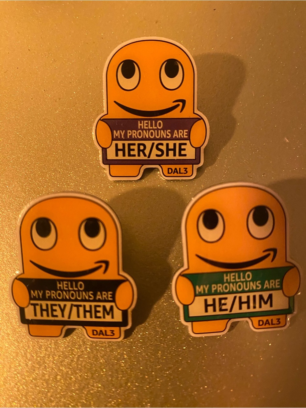 Amazon Peccy Pin Pronoun Set (DAL3) NWT